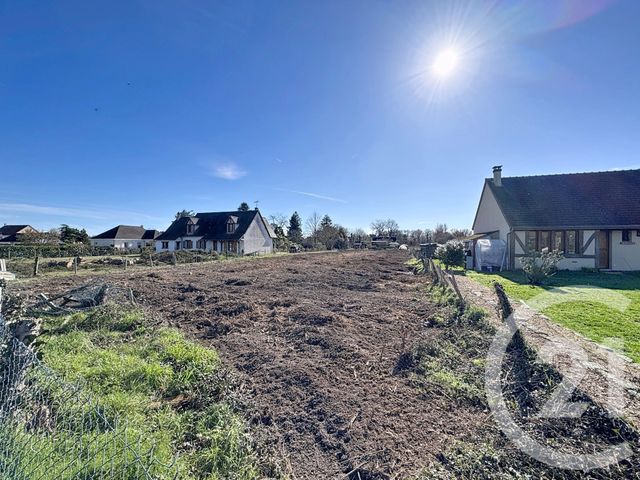 terrain à vendre - 2529.0 m2 - NOUAN LE FUZELIER - 41 - CENTRE - Century 21 Sologne Immobilier