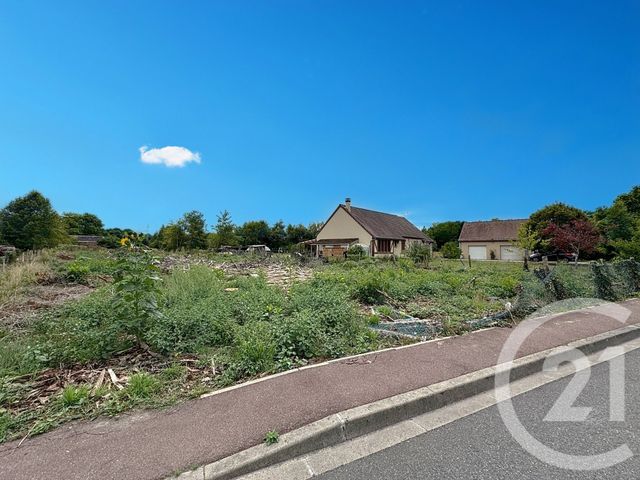 terrain à vendre - 2529.0 m2 - NOUAN LE FUZELIER - 41 - CENTRE - Century 21 Sologne Immobilier