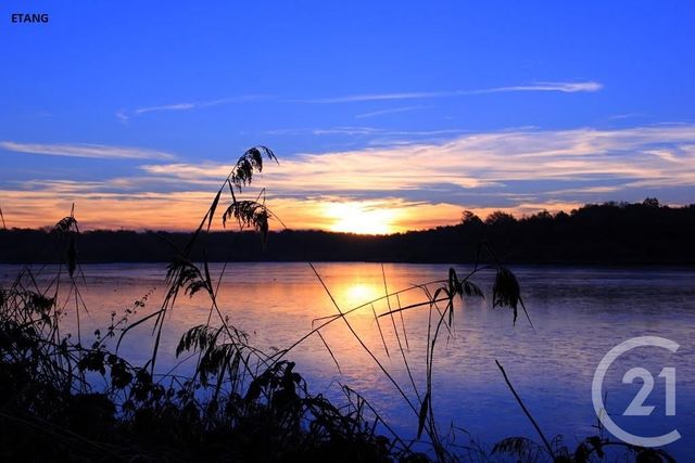 terrain à vendre - 1545.0 m2 - ST VIATRE - 41 - CENTRE - Century 21 Sologne Immobilier