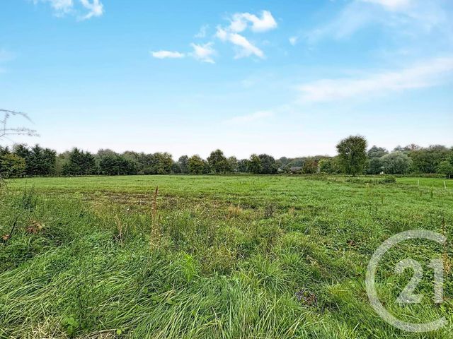 terrain à vendre - 1545.0 m2 - ST VIATRE - 41 - CENTRE - Century 21 Sologne Immobilier