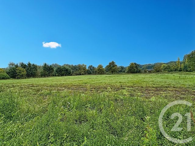 terrain à vendre - 1668.0 m2 - ST VIATRE - 41 - CENTRE - Century 21 Sologne Immobilier