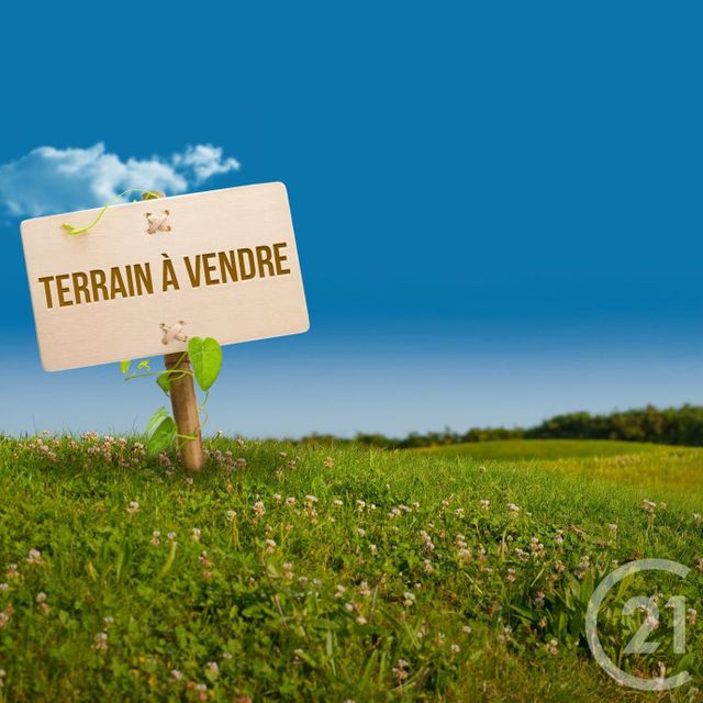 terrain à vendre - 3684.0 m2 - ST VIATRE - 41 - CENTRE - Century 21 Sologne Immobilier