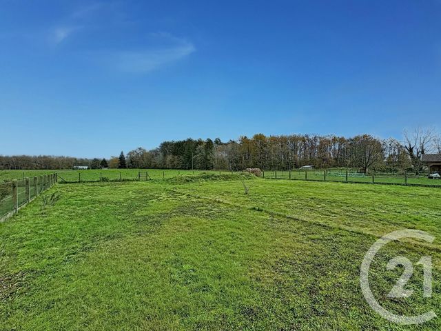 maison à vendre - 4 pièces - 88.0 m2 - NOUAN LE FUZELIER - 41 - CENTRE - Century 21 Sologne Immobilier