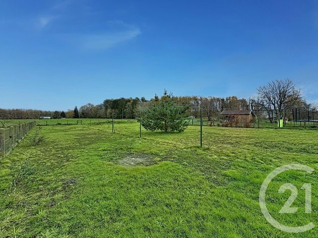 maison à vendre - 4 pièces - 88.0 m2 - NOUAN LE FUZELIER - 41 - CENTRE - Century 21 Sologne Immobilier