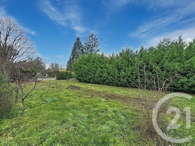 terrain à vendre - 1006.0 m2 - CHAON - 41 - CENTRE - Century 21 Sologne Immobilier