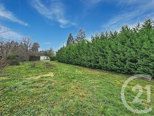 terrain à vendre - 1006.0 m2 - CHAON - 41 - CENTRE - Century 21 Sologne Immobilier
