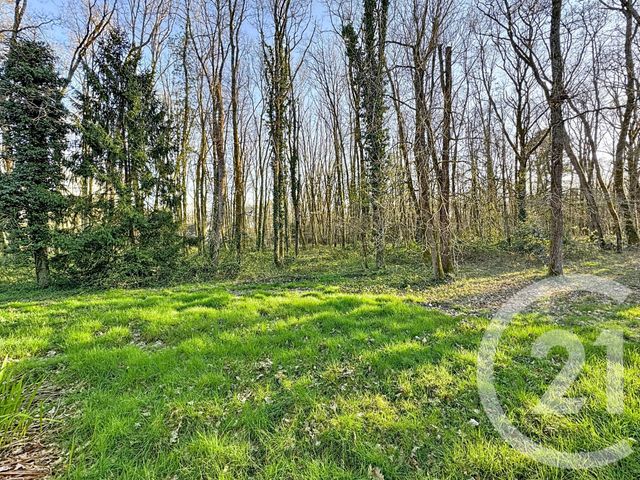 maison à vendre - 7 pièces - 175.0 m2 - YVOY LE MARRON - 41 - CENTRE - Century 21 Sologne Immobilier