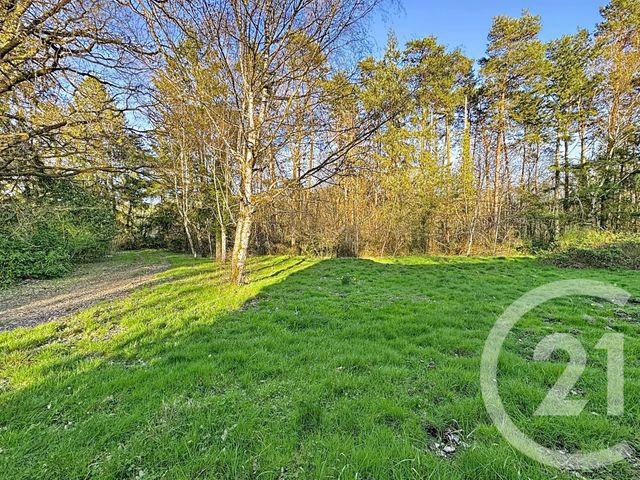 maison à vendre - 7 pièces - 175.0 m2 - YVOY LE MARRON - 41 - CENTRE - Century 21 Sologne Immobilier