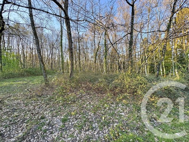 maison à vendre - 7 pièces - 175.0 m2 - YVOY LE MARRON - 41 - CENTRE - Century 21 Sologne Immobilier