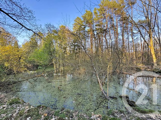 maison à vendre - 7 pièces - 175.0 m2 - YVOY LE MARRON - 41 - CENTRE - Century 21 Sologne Immobilier