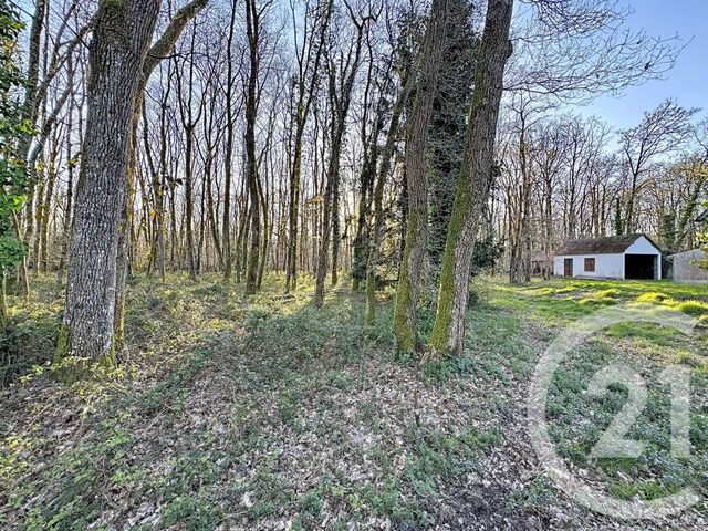 maison à vendre - 7 pièces - 175.0 m2 - YVOY LE MARRON - 41 - CENTRE - Century 21 Sologne Immobilier