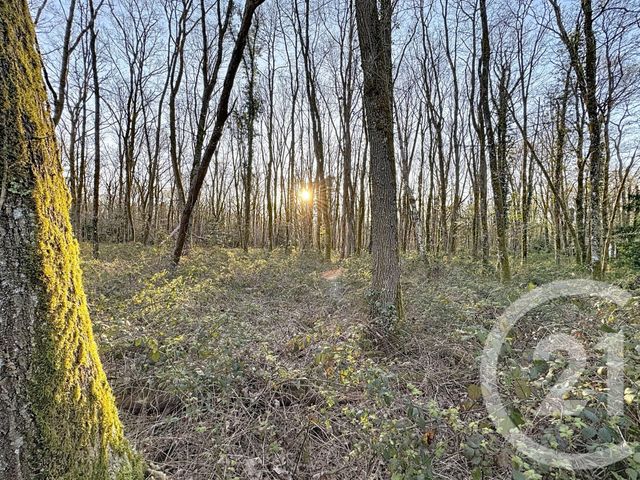 maison à vendre - 7 pièces - 175.0 m2 - YVOY LE MARRON - 41 - CENTRE - Century 21 Sologne Immobilier