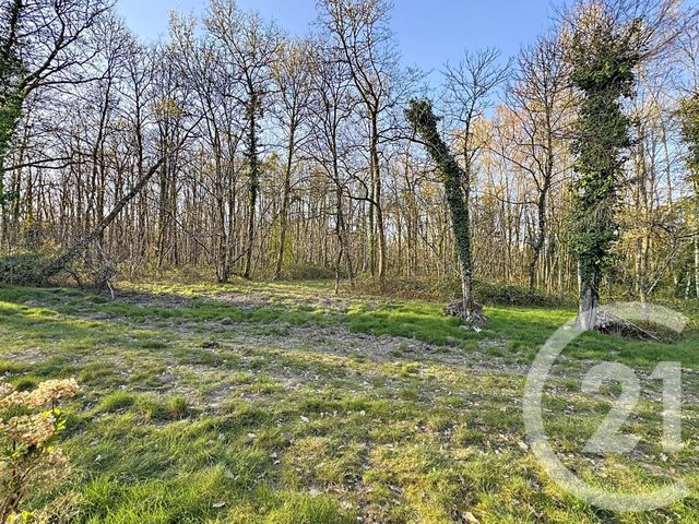 maison à vendre - 7 pièces - 175.0 m2 - YVOY LE MARRON - 41 - CENTRE - Century 21 Sologne Immobilier