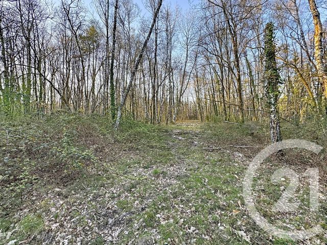 maison à vendre - 7 pièces - 175.0 m2 - YVOY LE MARRON - 41 - CENTRE - Century 21 Sologne Immobilier