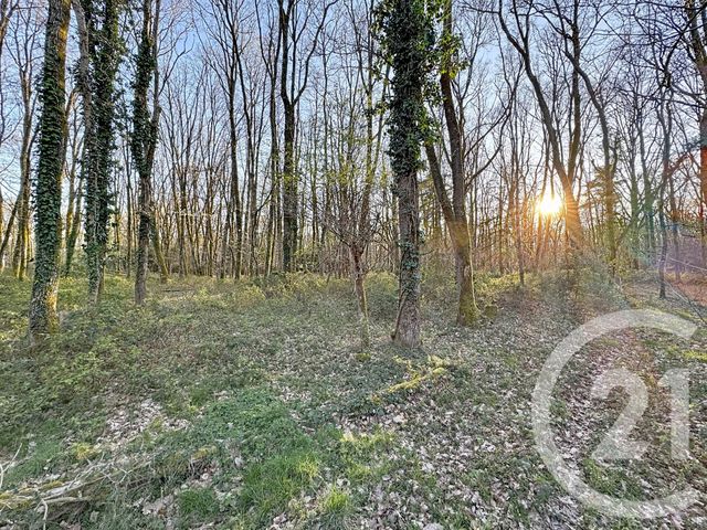 maison à vendre - 7 pièces - 175.0 m2 - YVOY LE MARRON - 41 - CENTRE - Century 21 Sologne Immobilier