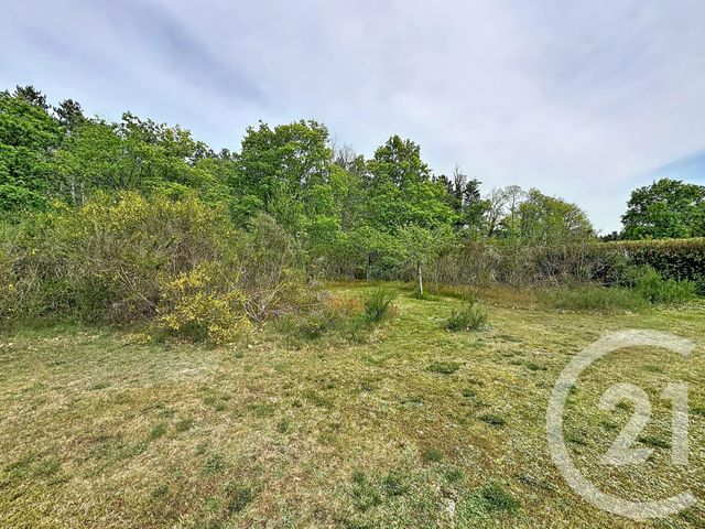 maison à vendre - 6 pièces - 176.0 m2 - VOUZON - 41 - CENTRE - Century 21 Sologne Immobilier