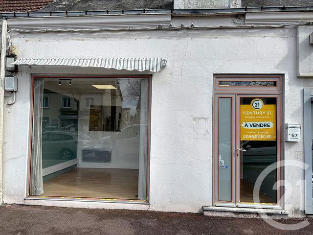 maison - LAMOTTE BEUVRON - 41