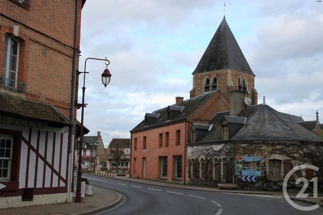 terrain à vendre - 592.0 m2 - NOUAN LE FUZELIER - 41 - CENTRE - Century 21 Sologne Immobilier