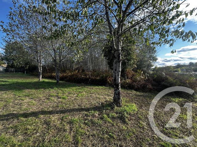 terrain à vendre - 592.0 m2 - NOUAN LE FUZELIER - 41 - CENTRE - Century 21 Sologne Immobilier