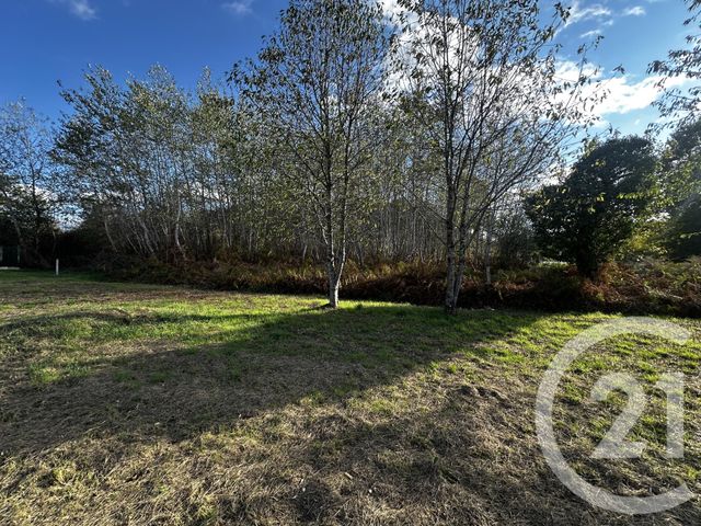 terrain à vendre - 592.0 m2 - NOUAN LE FUZELIER - 41 - CENTRE - Century 21 Sologne Immobilier